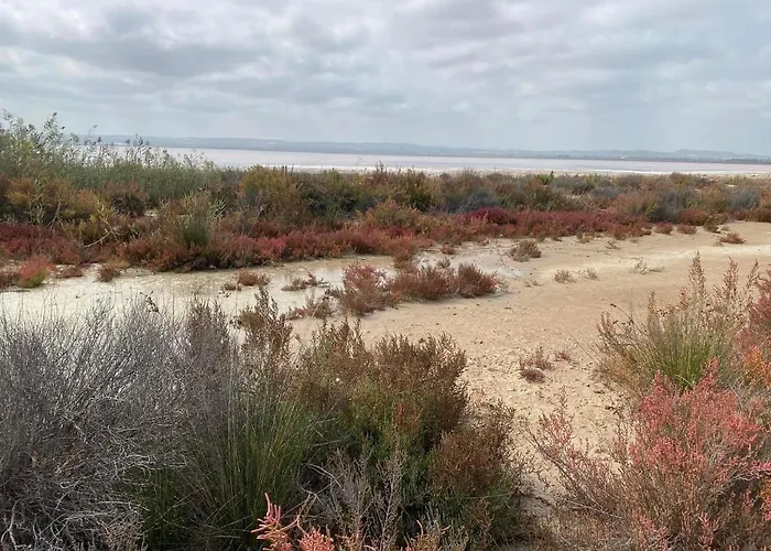 Semesterbostad Modern And Airy *