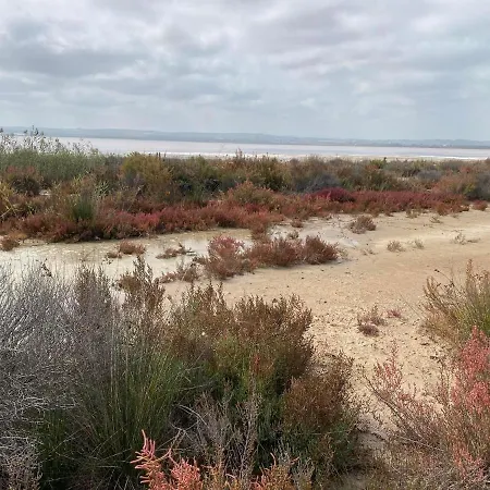 Hébergement de vacances Modern And Airy *